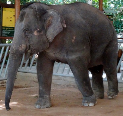 80. Phuket, Thailand