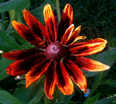 10. Funchal, Madeira