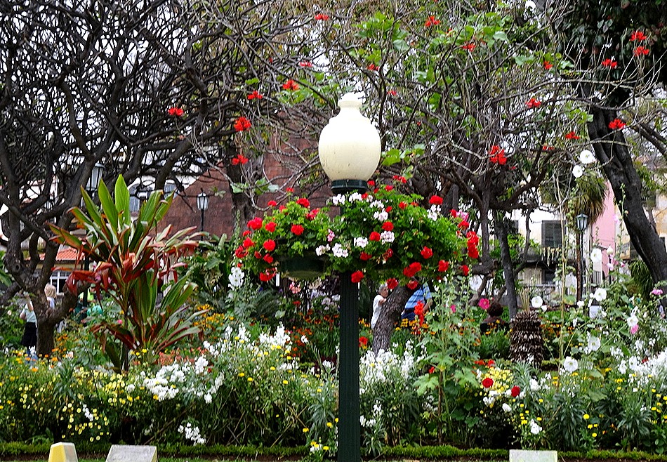 153. Funchal, Madeira