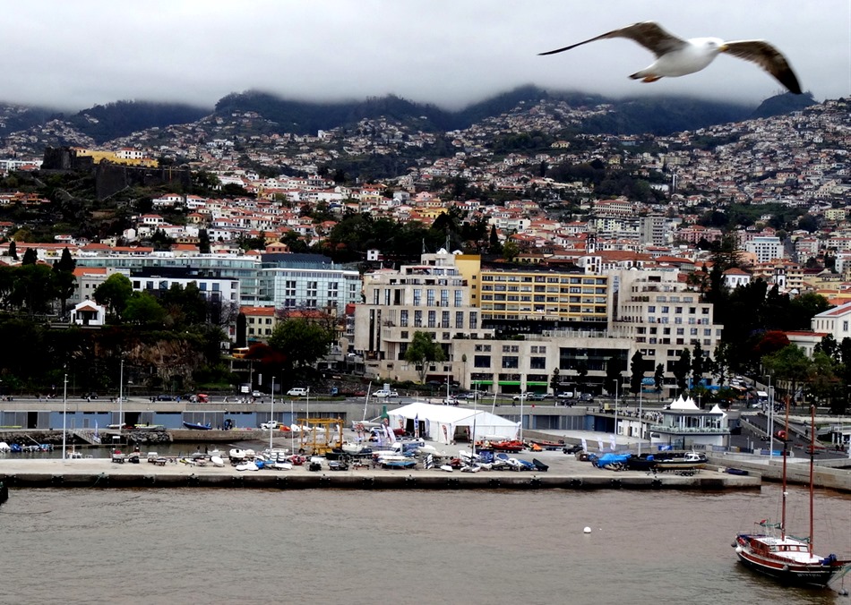 165. Funchal, Madeira