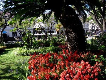 19. Funchal, Madeira