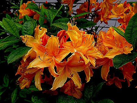 29. June 12 Ketchikan