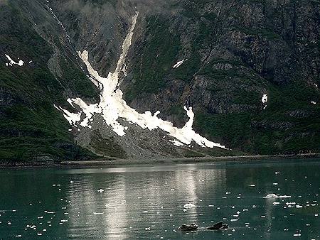 3. June 11 Glacier Bay