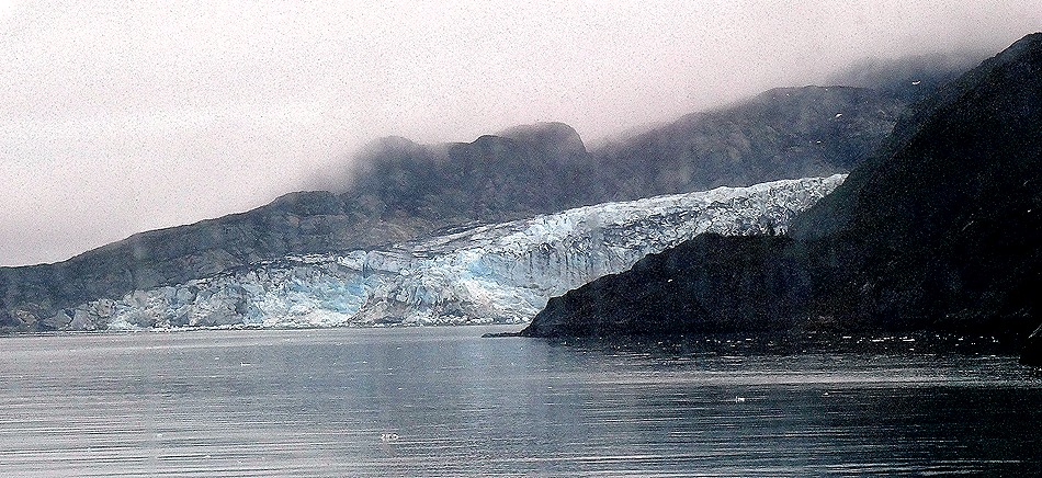 5. June 11 Glacier Bay