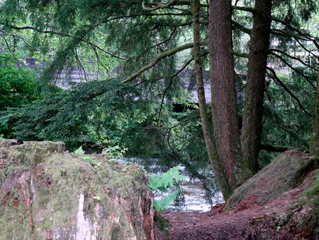 51. June 12 Ketchikan