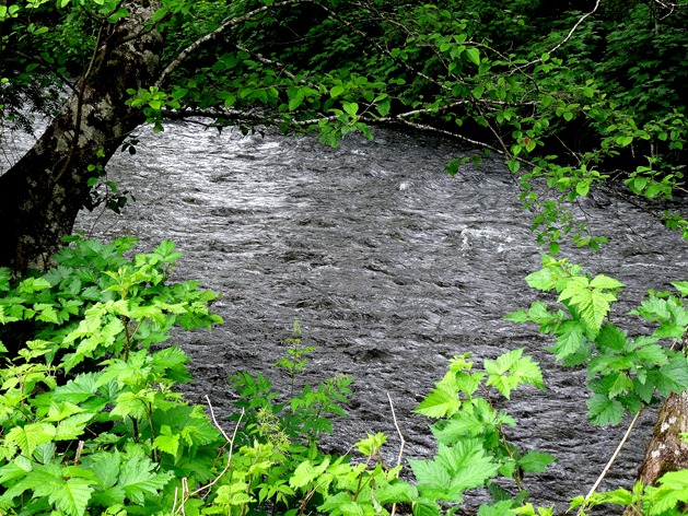 54. June 12 Ketchikan