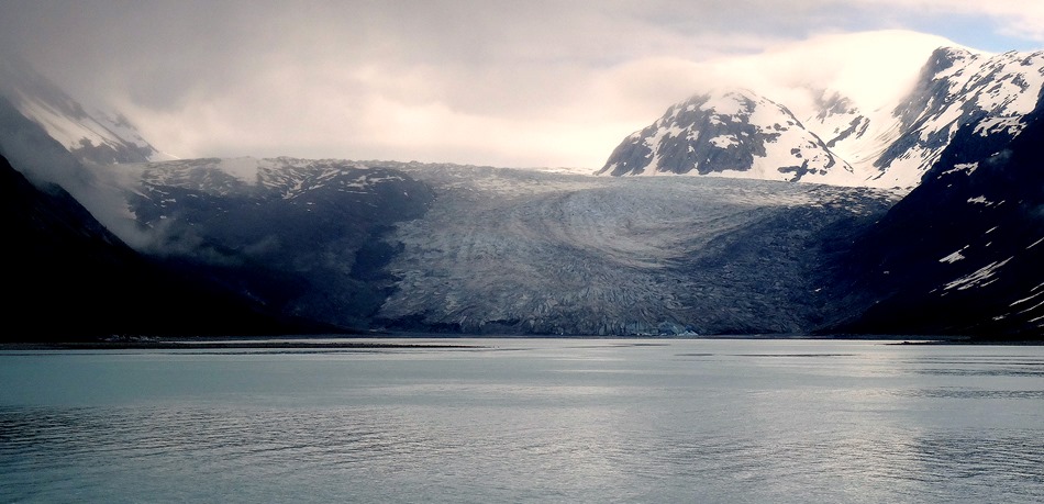 94. June 11 Glacier Bay