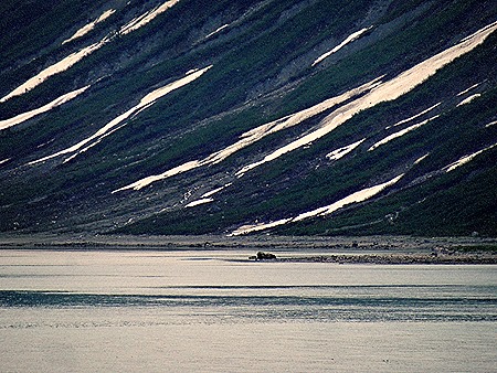 96. June 11 Glacier Bay