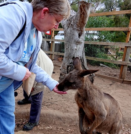 108. Hobart, Tasmania