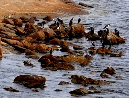 164. Albany, Australia