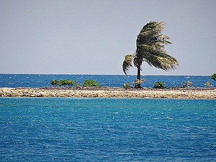 115. Rangiroa