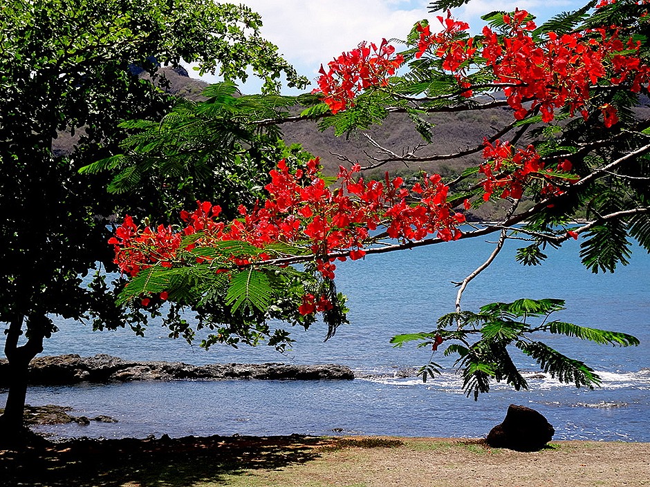 129. Nuku Hiva  