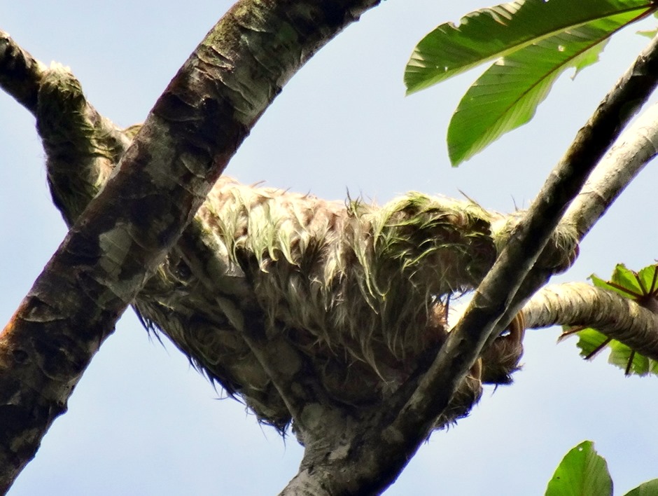 15.  Puerto Limon, Costa  Rica