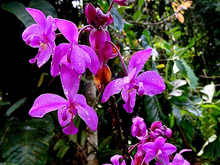 18.  Puerto Limon, Costa  Rica