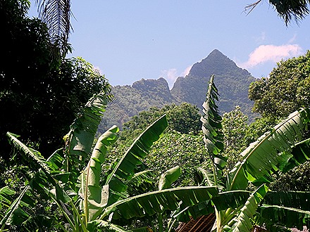 20. Opanuhu Bay, Moorea - Copy