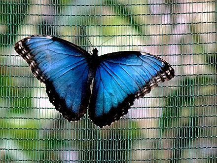 29.  Puerto Limon, Costa  Rica