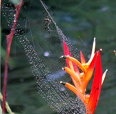 36.  Puerto Limon, Costa  Rica - Copy