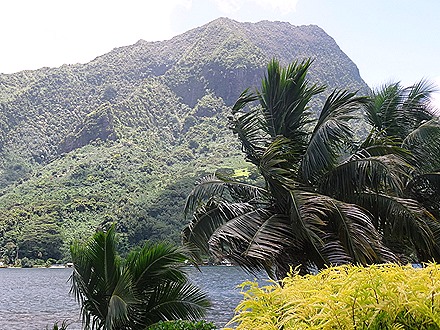 43. Opanuhu Bay, Moorea