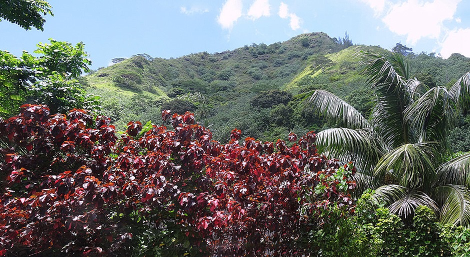 44a. Opanuhu Bay, Moorea_stitch