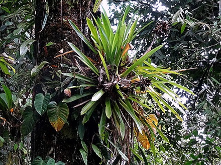 49.  Puerto Limon, Costa  Rica