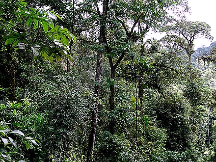 50.  Puerto Limon, Costa  Rica