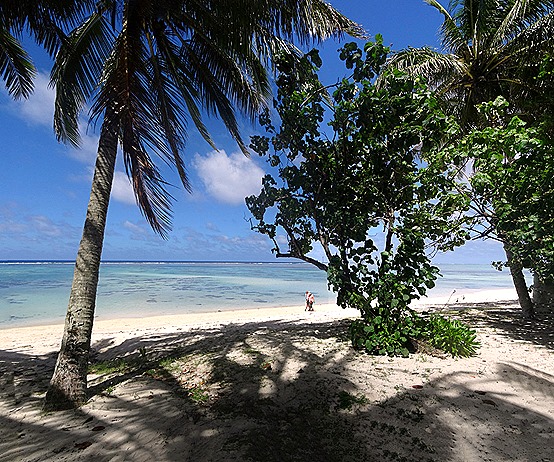 53a. Raratonga_stitch