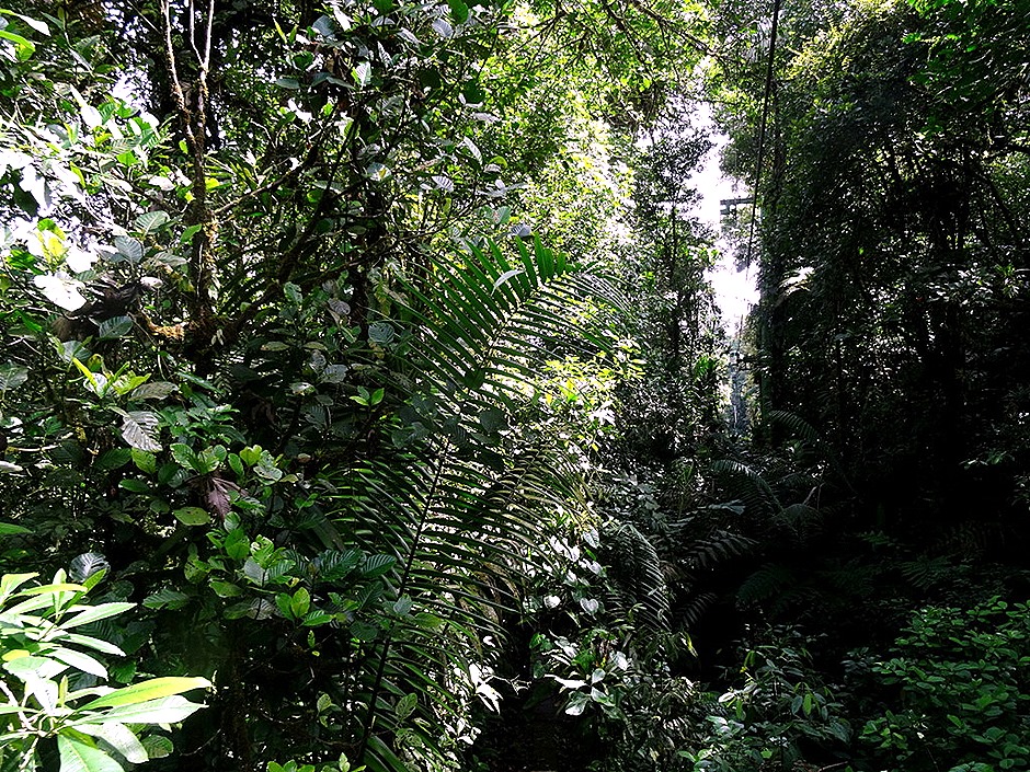 54.  Puerto Limon, Costa  Rica