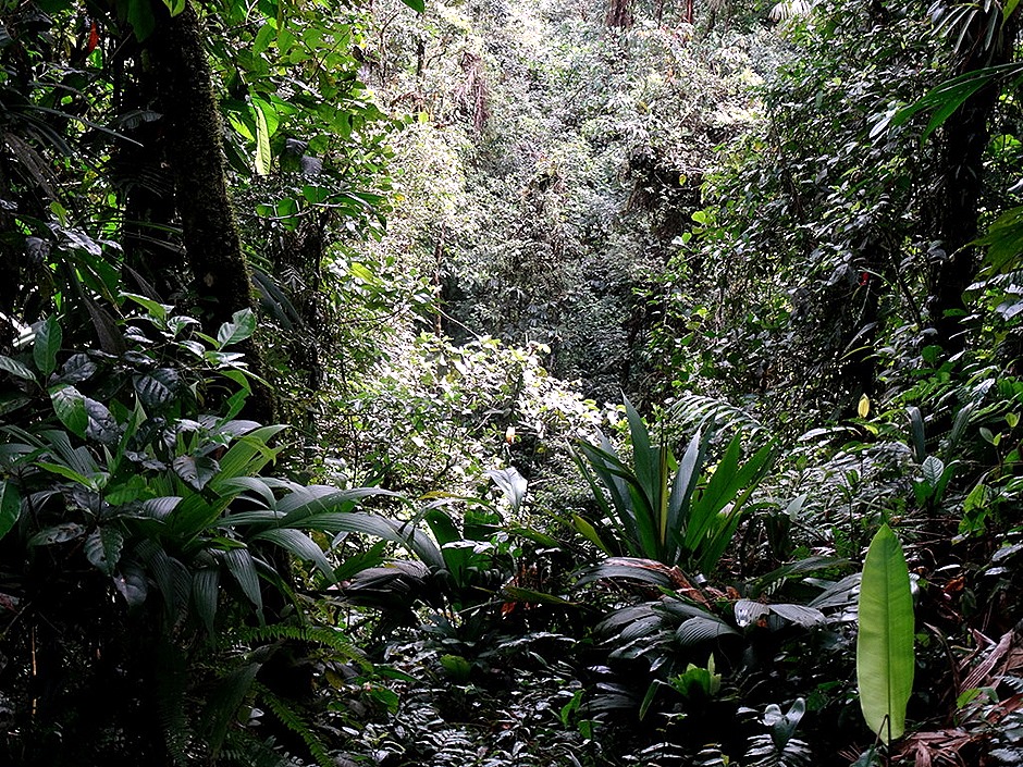 55.  Puerto Limon, Costa  Rica