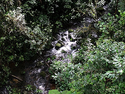 58.  Puerto Limon, Costa  Rica