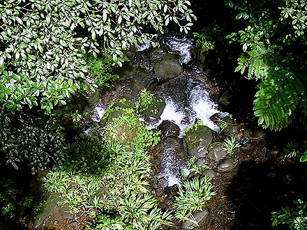 59.  Puerto Limon, Costa  Rica