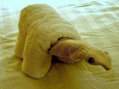 7. At Sea to Nuku Hiva