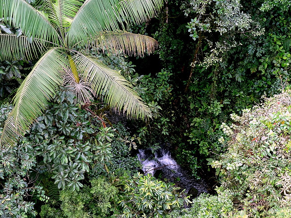 88.  Puerto Limon, Costa  Rica