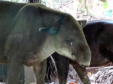 9.  Puerto Limon, Costa  Rica
