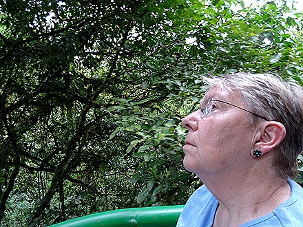 93.  Puerto Limon, Costa  Rica