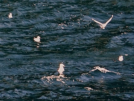 104. Fjordland National Park, New Zealand