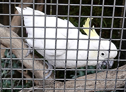 104. Hobart, Tasmania