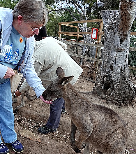 109. Hobart, Tasmania