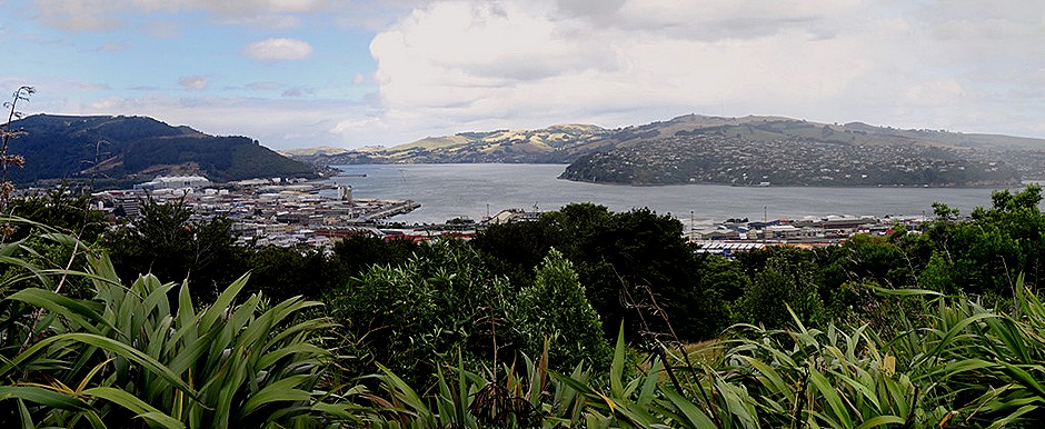 110a. Dunedin, New Zealand_stitch
