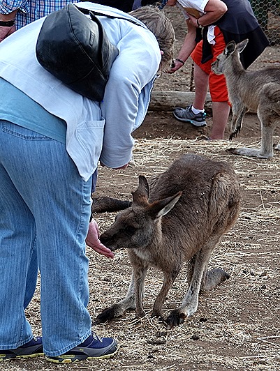 115. Hobart, Tasmania
