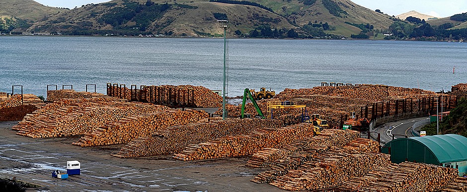 120a. Dunedin, New Zealand_stitch