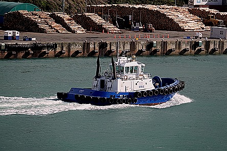 132. Dunedin, New Zealand