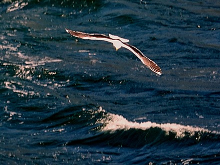 139. Fjordland National Park, New Zealand