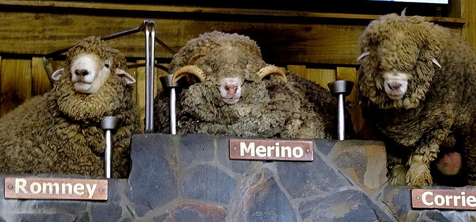 149. Tauranga (Rotarua), New Zealand