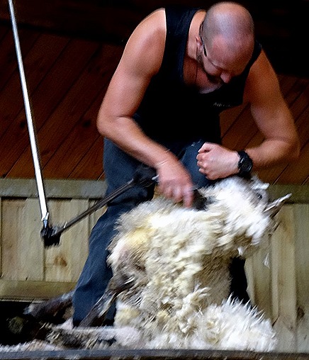 158. Tauranga (Rotarua), New Zealand