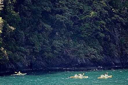 159. Fjordland National Park, New Zealand