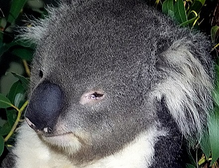 160. Hobart, Tasmania