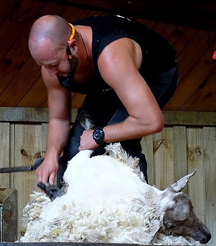 160. Tauranga (Rotarua), New Zealand