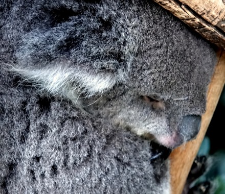 164. Hobart, Tasmania