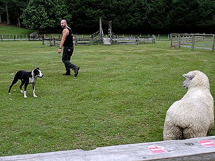 169. Tauranga (Rotarua), New Zealand