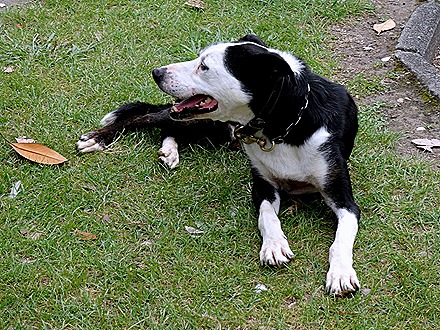 172. Tauranga (Rotarua), New Zealand